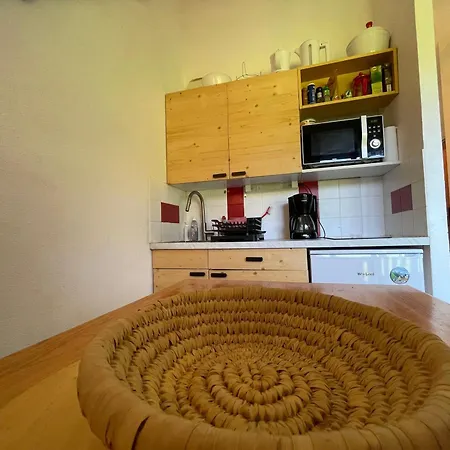 Apartment Calme Avec Animaux Acceptes A - Fr-1-692-103 *